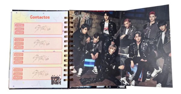 Stray Kids Agenda 2026 - 9 Cards Holograficas - Poster