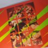 Rumiko Takahashi Card Colección Japón 1996 Holográfico Ranma