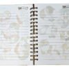 Mofusand Pack Holografico Cuaderno Anime