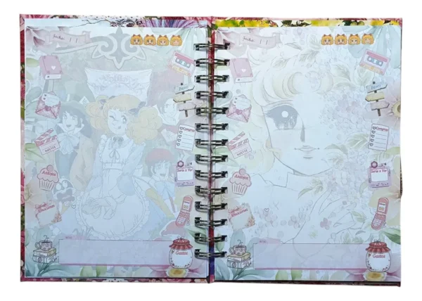 D_NQ_NP_2X_693099-MLC108265626859_032026-F Candy Candy Agenda Glitter Con Esquelas
