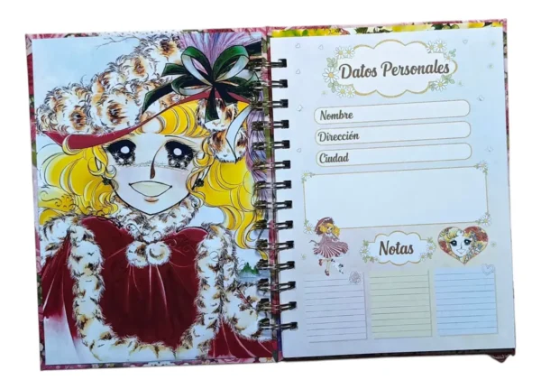 D_NQ_NP_2X_771207-MLC108264770205_032026-F Candy Candy Agenda Glitter Con Esquelas