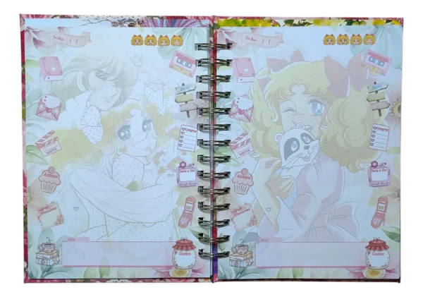 D_NQ_NP_2X_823242-MLC108265980715_032026-F Candy Candy Agenda Glitter Con Esquelas