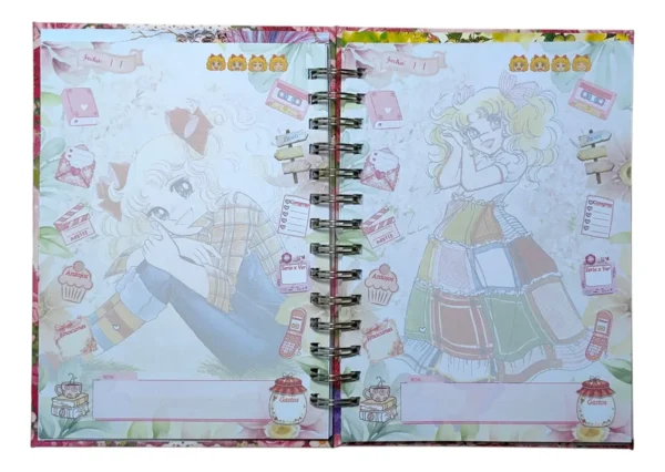 D_NQ_NP_2X_998296-MLC108266068791_032026-F Candy Candy Agenda Glitter Con Esquelas